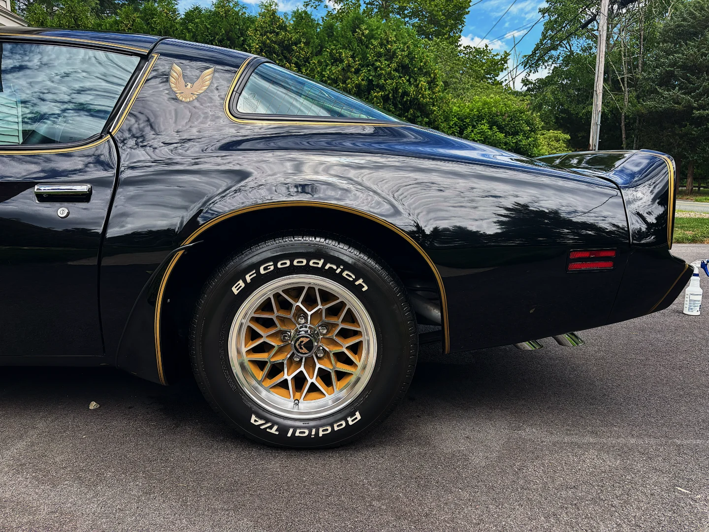 Pontiac Trans Am - Classic Car Preservation